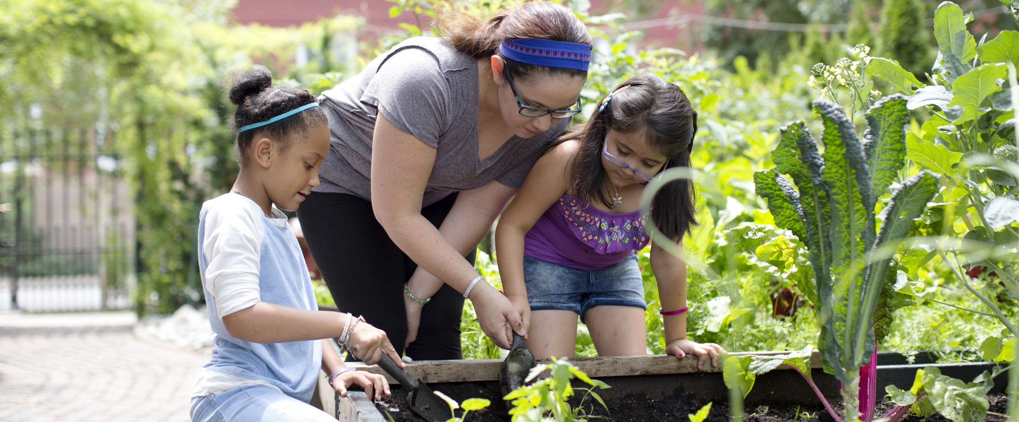 Ways to Volunteer Ways to Volunteer